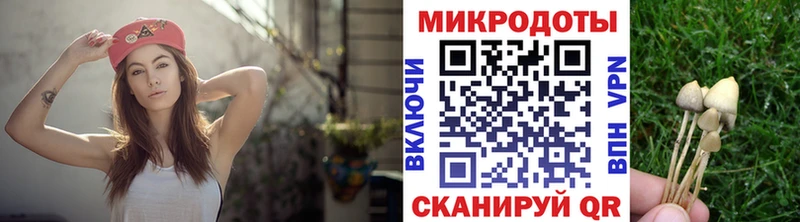 Галлюциногенные грибы мухоморы  Холм 